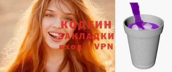 твердый Абаза