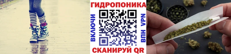 Шишки марихуана THC 21% kraken зеркало Алдан купить наркотик